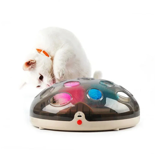 Interactive Electric Turntable Funny Toys For Cats
