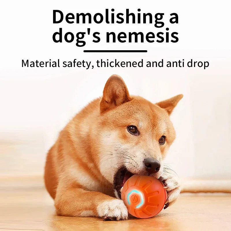 Smart Toy Ball