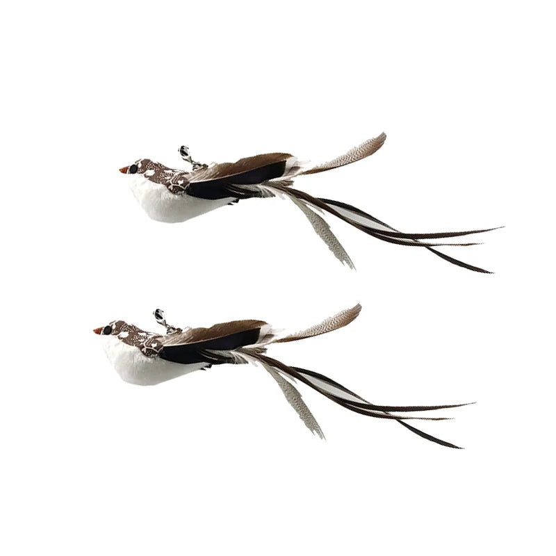 Simulation Bird Interactive