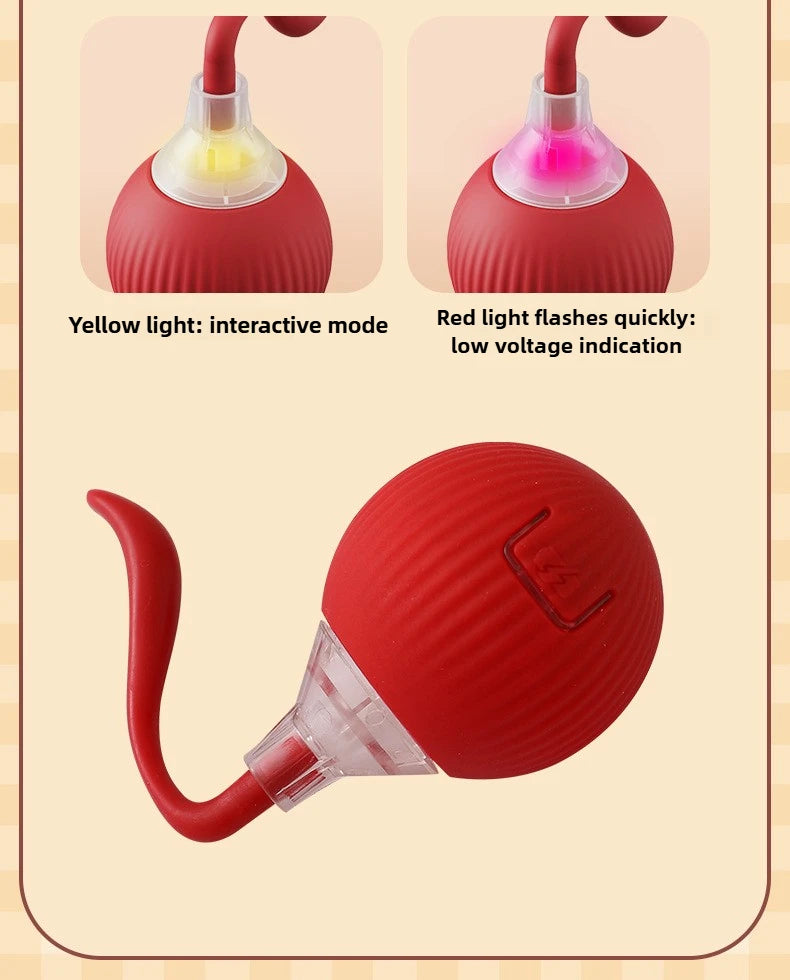 Cat/Dog Interactive Ball Toy Automatic