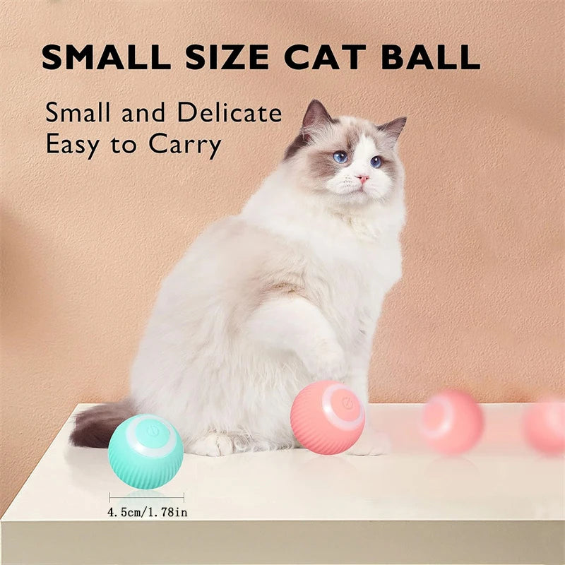 Smart Dog/Cat Toy