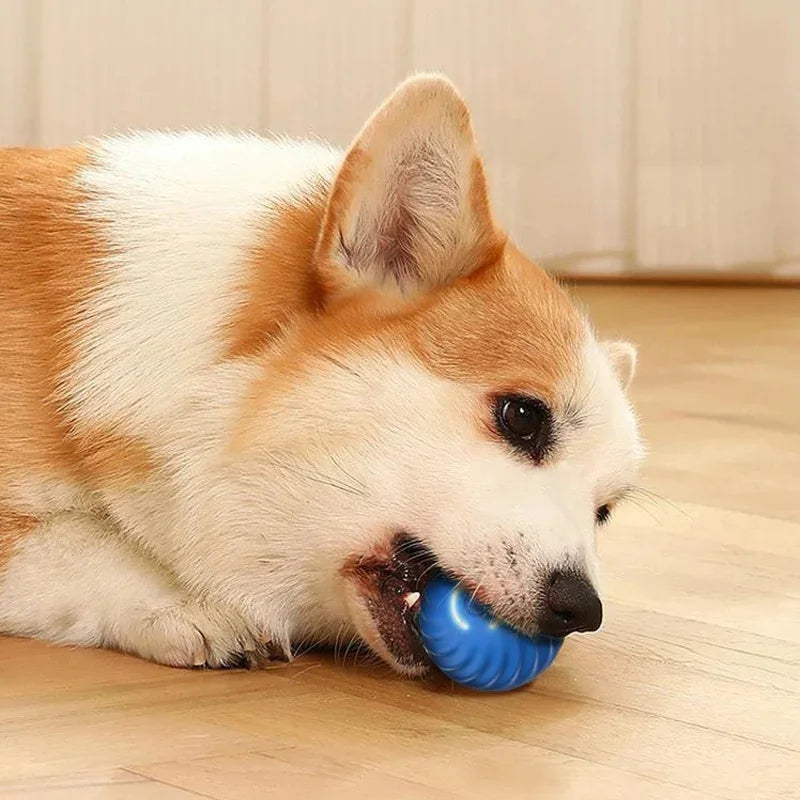 Smart Dog/Cat Toy