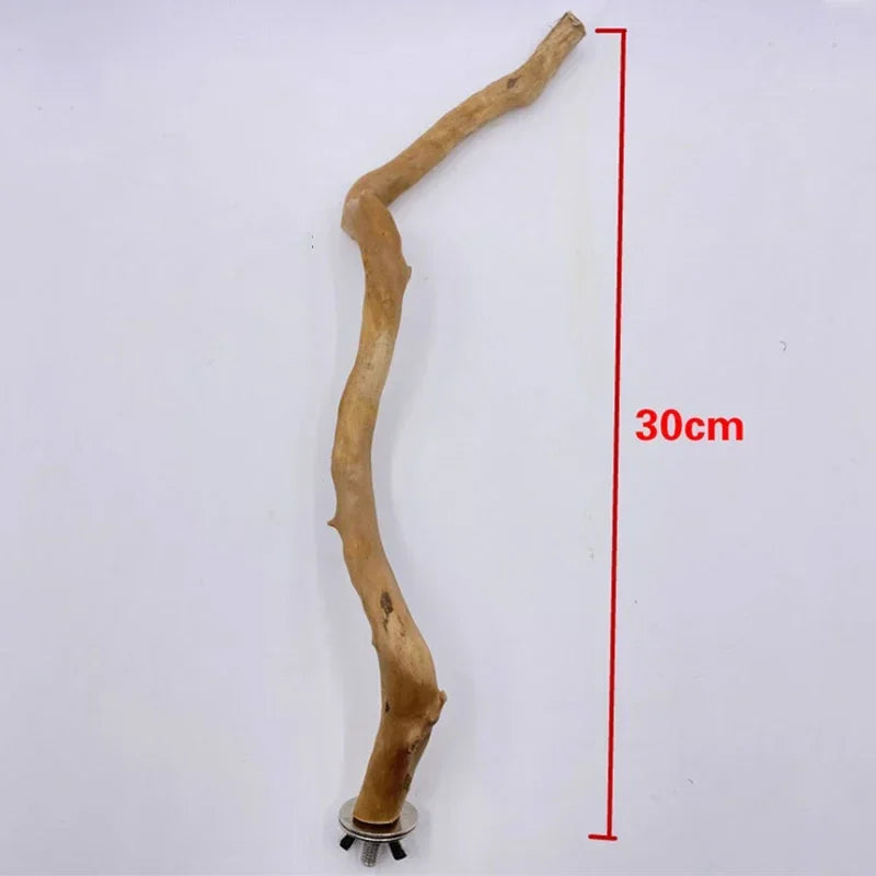 Standing Stick Wild Grape Wood for Parrot