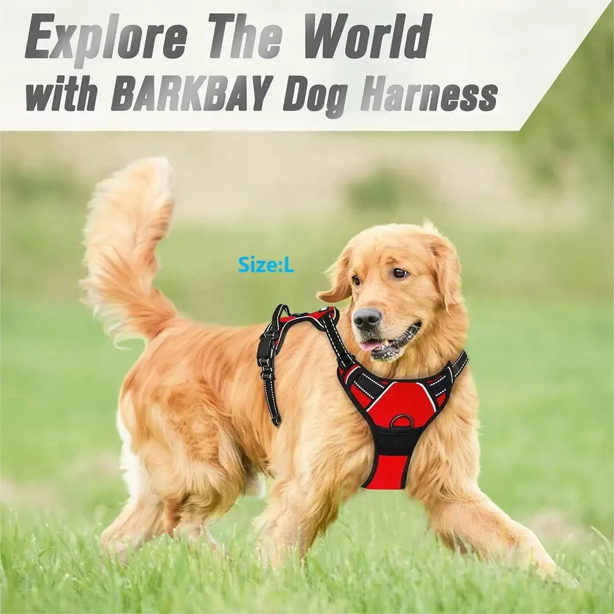 Harness Big Vests
