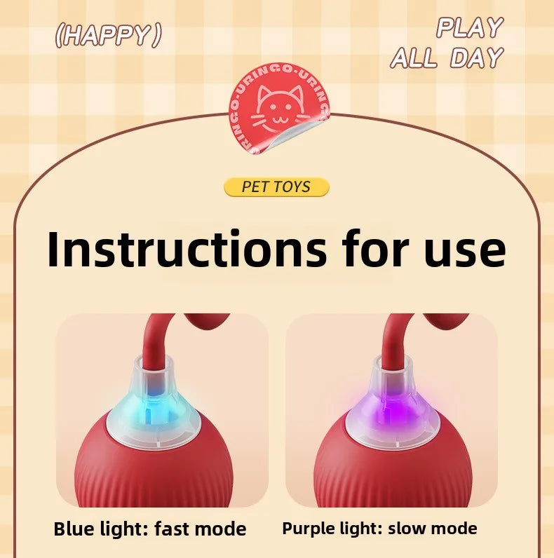 Cat/Dog Interactive Ball Toy Automatic