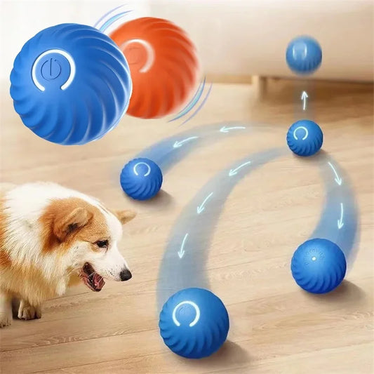 Smart Dog/Cat Toy