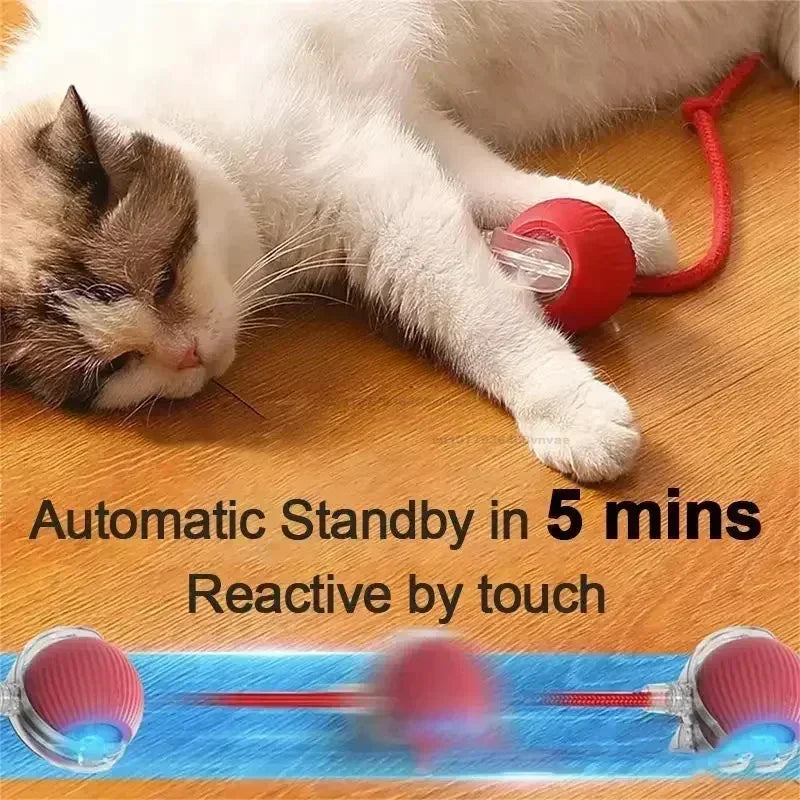 Cat/Dog Interactive Ball Toy Automatic