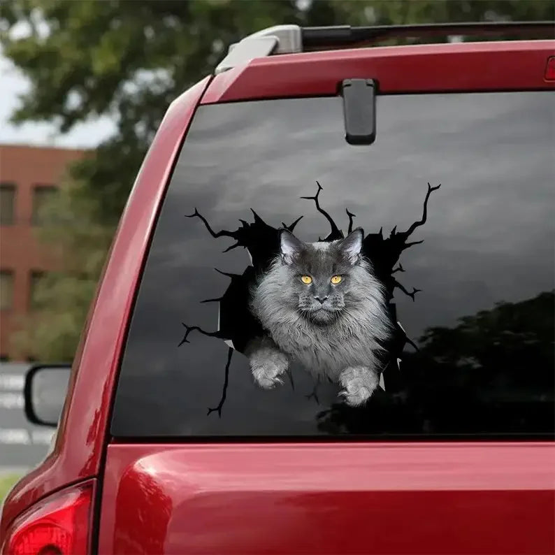 Maine Coon Cat Decal