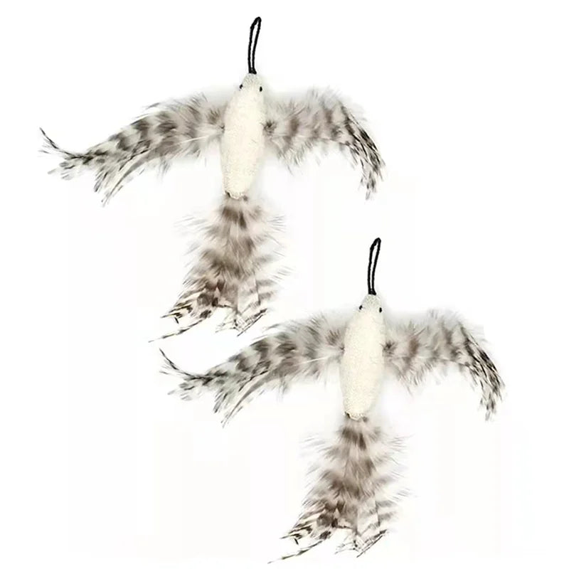 Simulation Bird Interactive