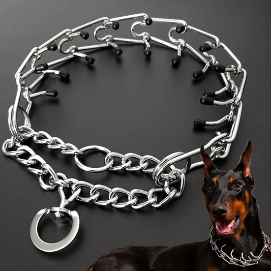 Pinch Dog Training Collar
