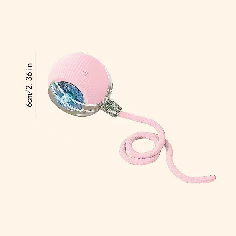 Smart Dog/Cat Toy