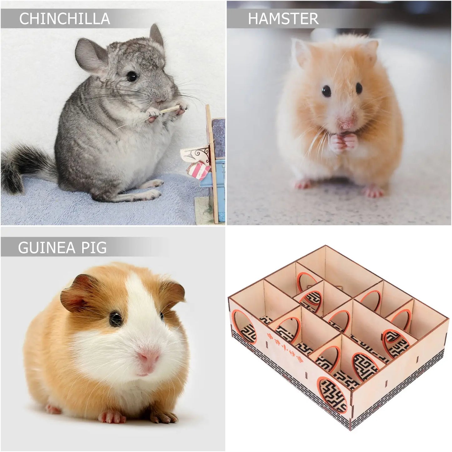 Hamster Maze Multi- Chamber