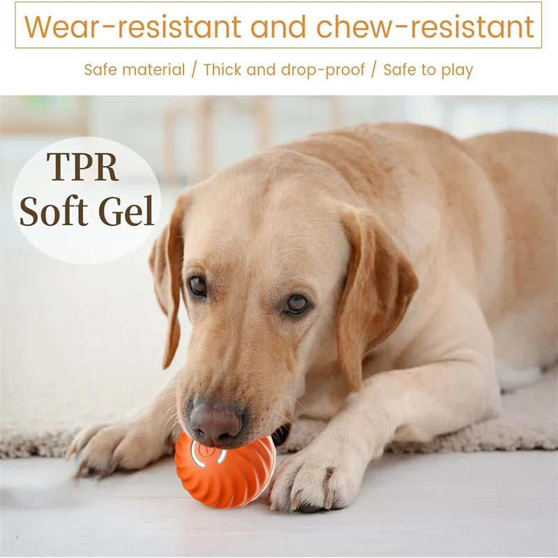 Smart Dog/Cat Toy