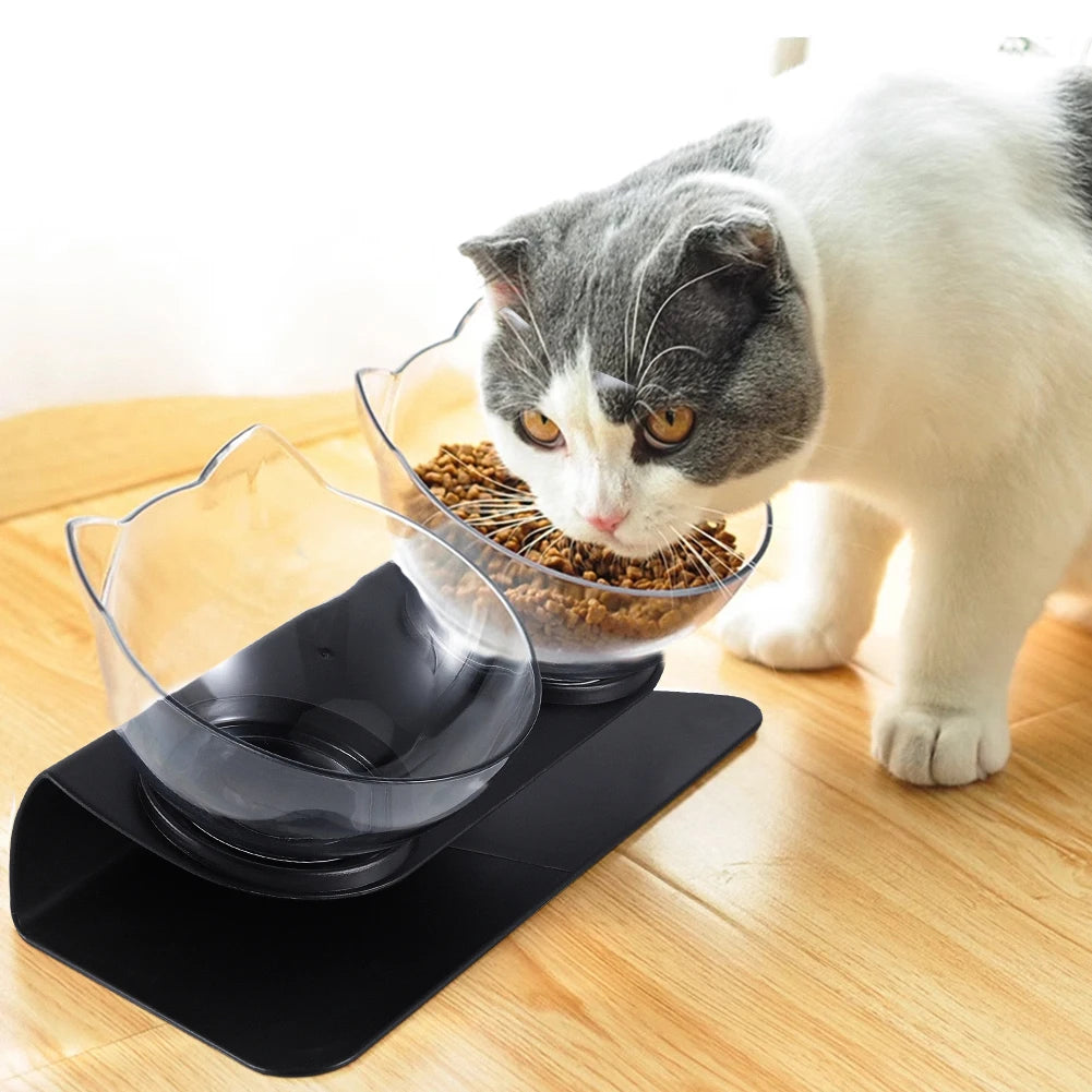 New Cat feeder
