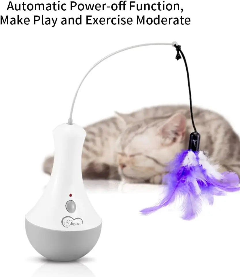 Cat Interactive Toys