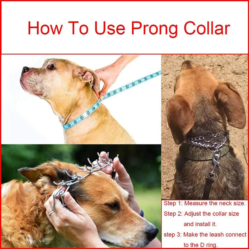 Pinch Dog Training Collar