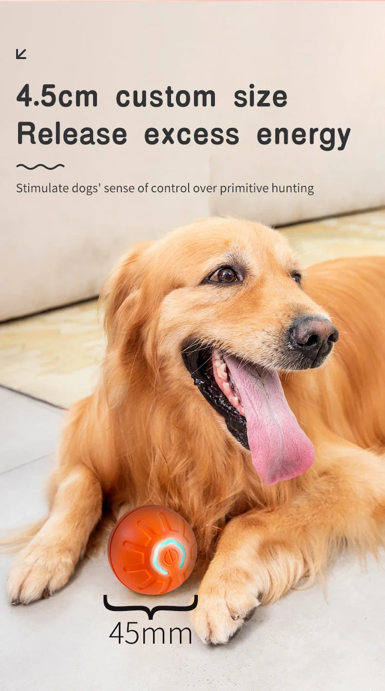 Smart Toy Ball