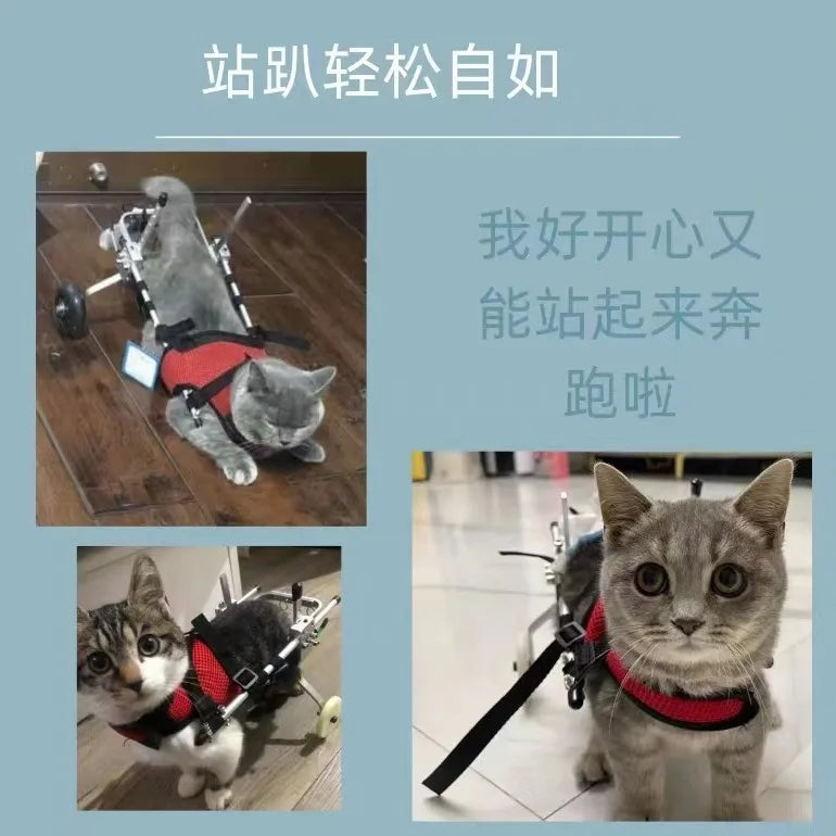 Cat Wheelchair