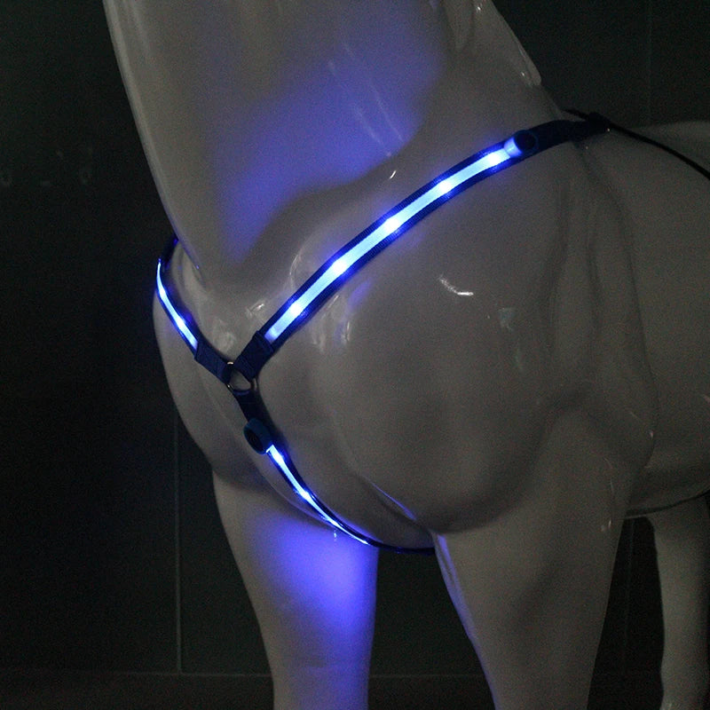 100 CM Long LED Horse Riding Tails Decoration