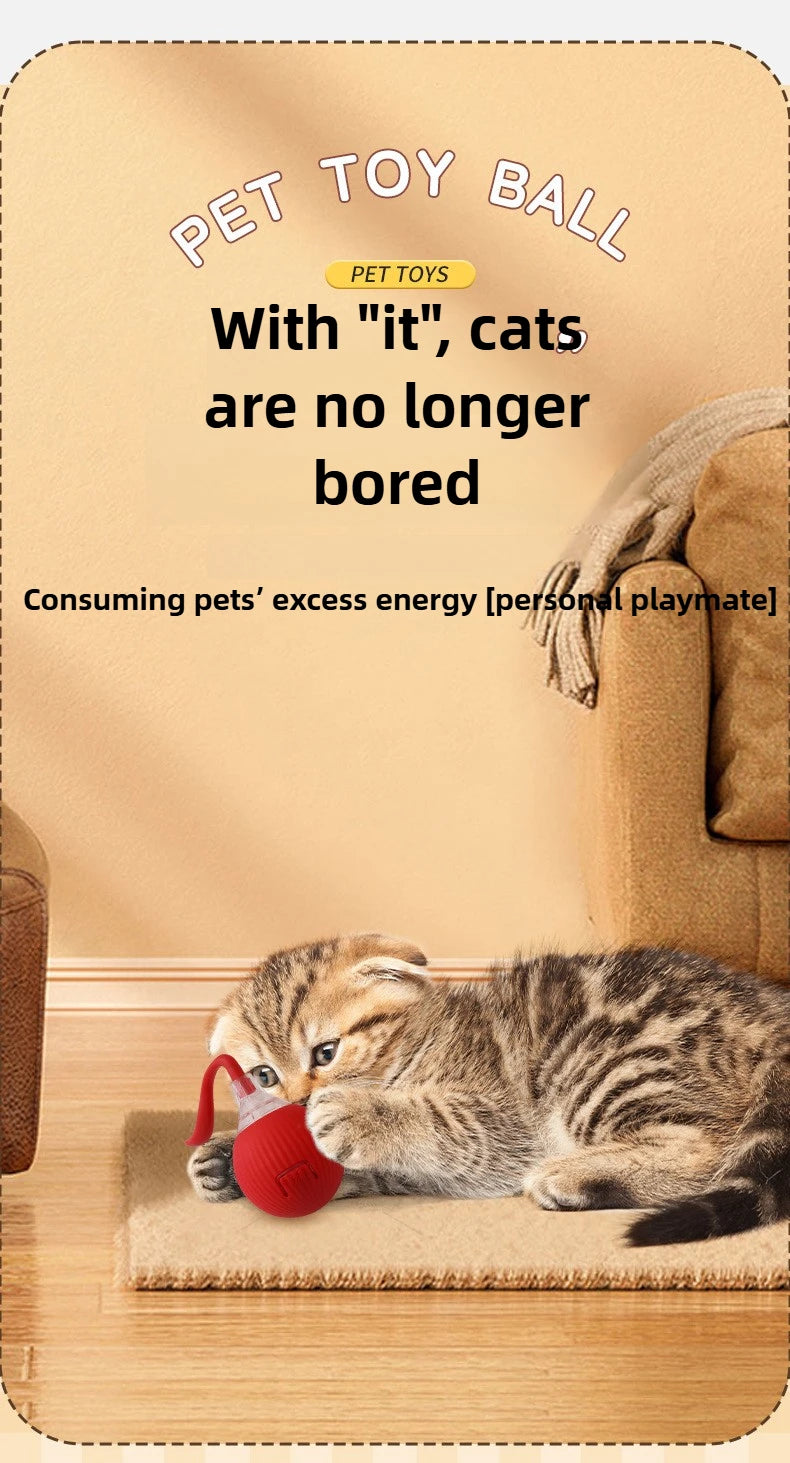 Cat/Dog Interactive Ball Toy Automatic