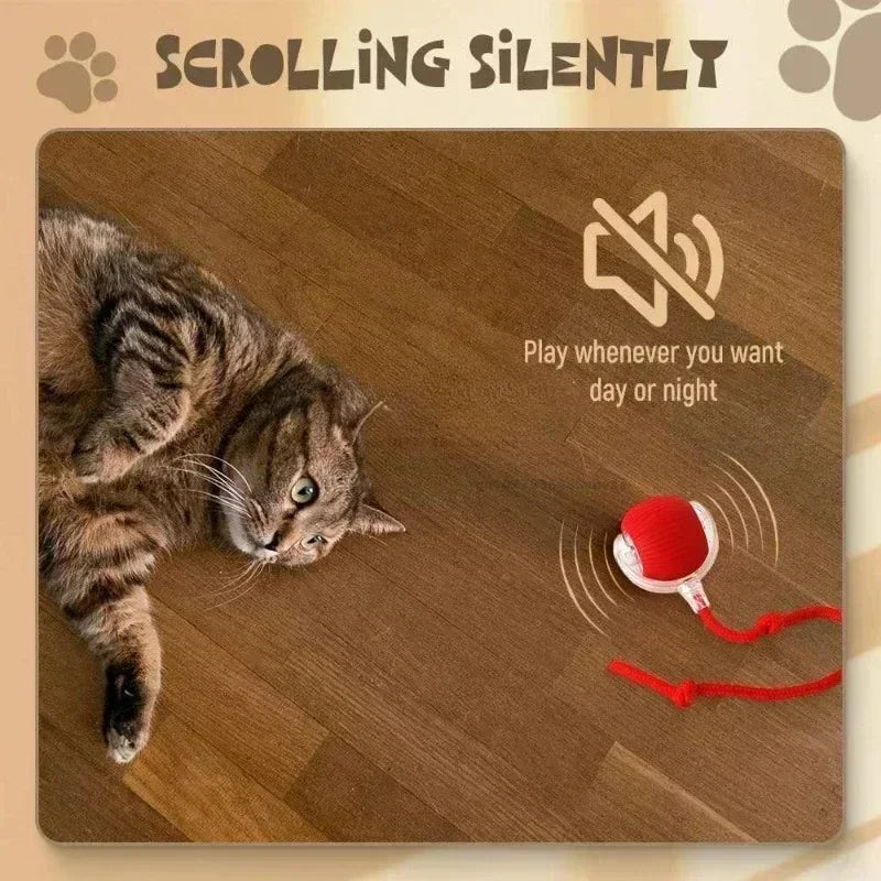 Cat/Dog Interactive Ball Toy Automatic