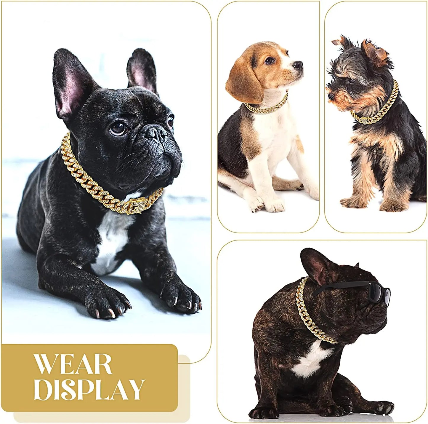 Luxury Gold Dog Chain