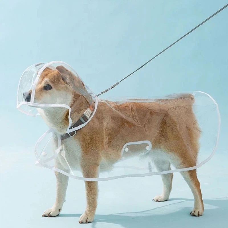 Transparent Dog Raincoat Waterproof Windproof