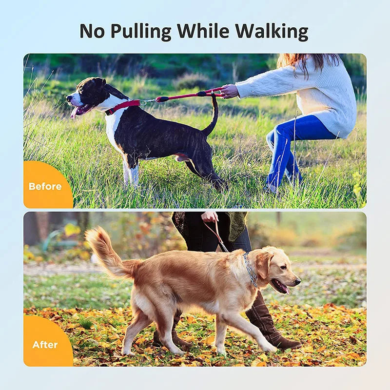 Pinch Dog Training Collar