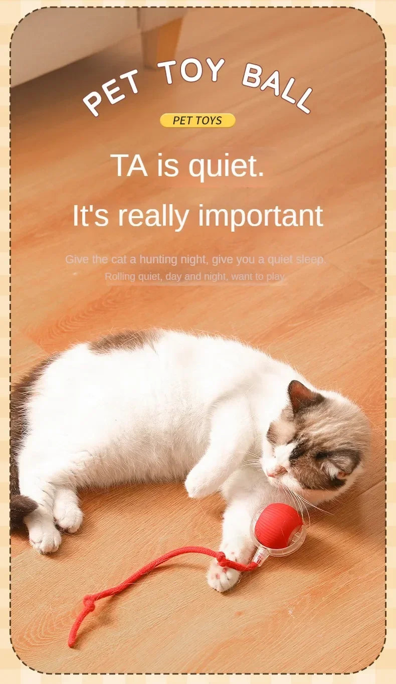 Cat/Dog Interactive Ball Toy Automatic