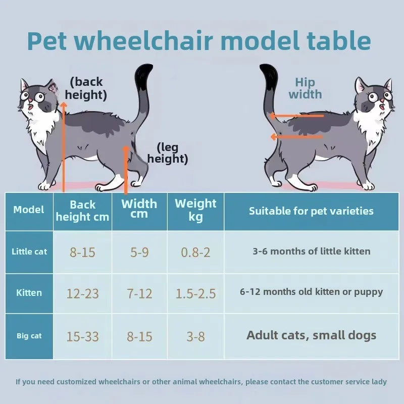 Cat Wheelchair