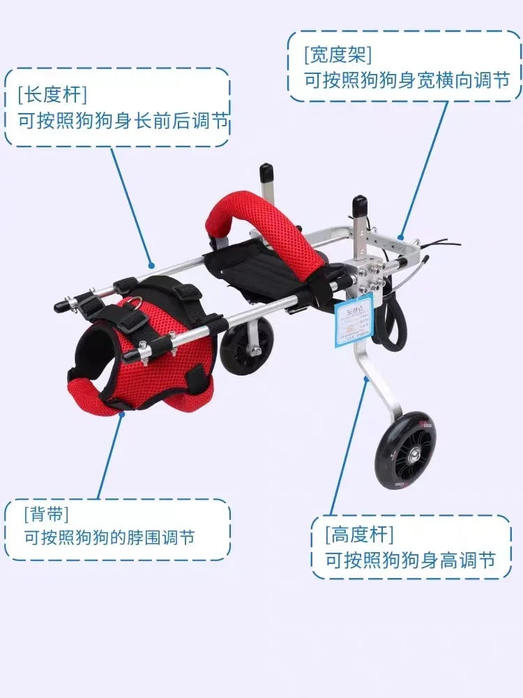 Cat Wheelchair