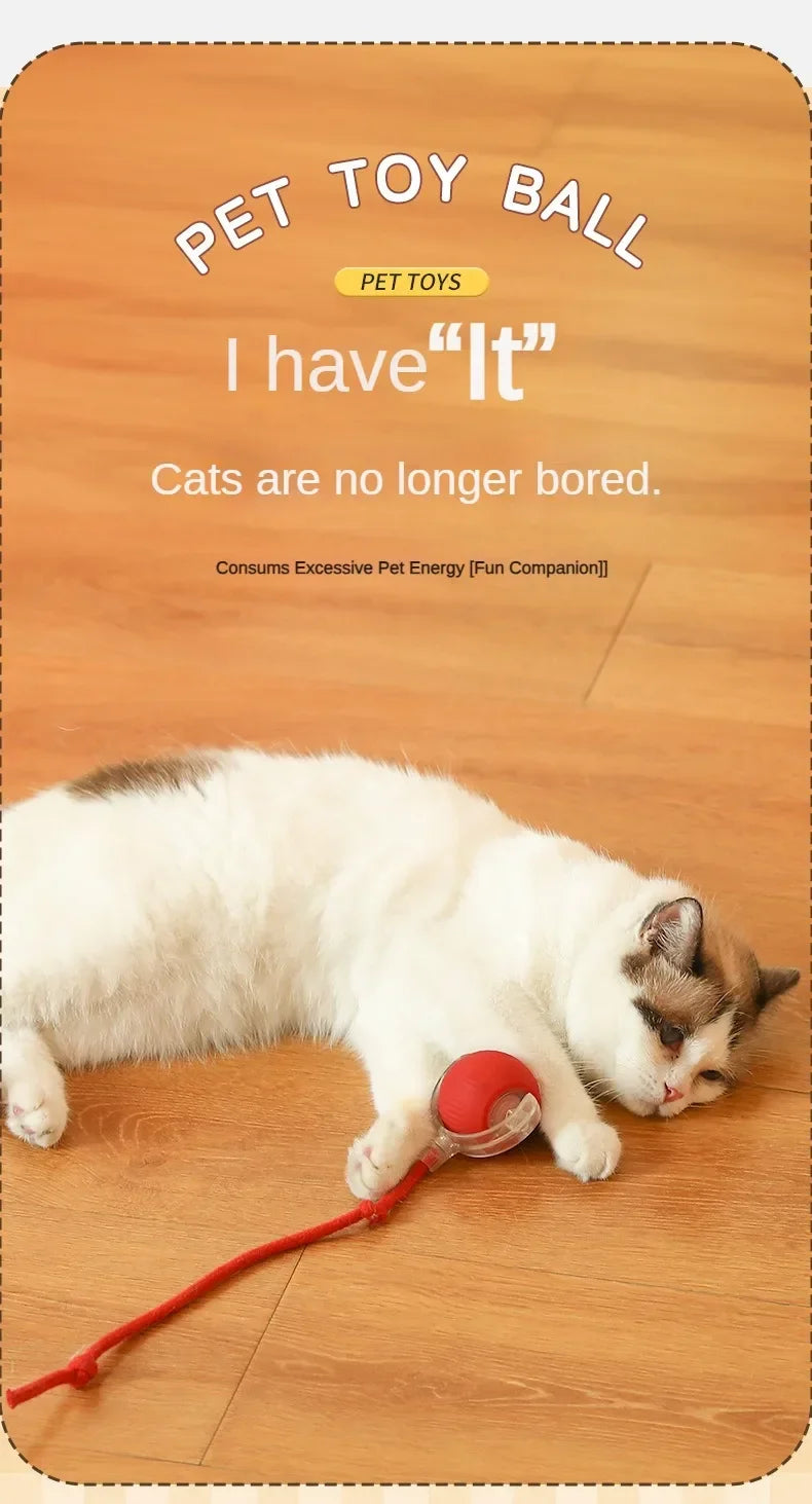 Cat/Dog Interactive Ball Toy Automatic