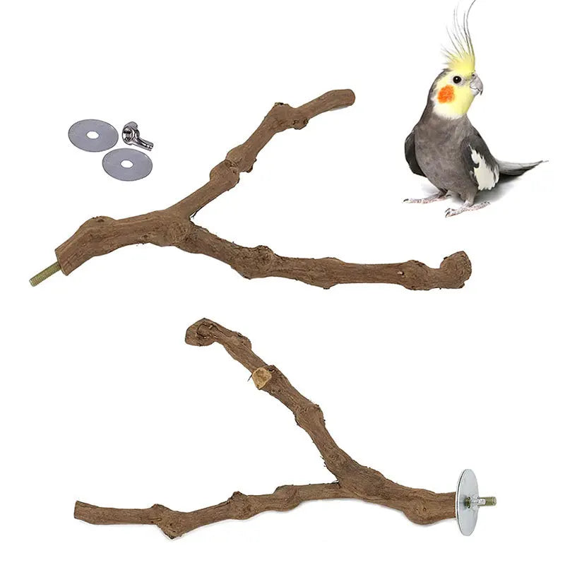 Standing Stick Wild Grape Wood for Parrot