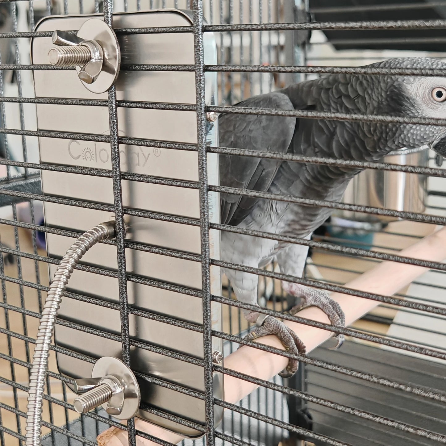 Bird Warmer for Parrot