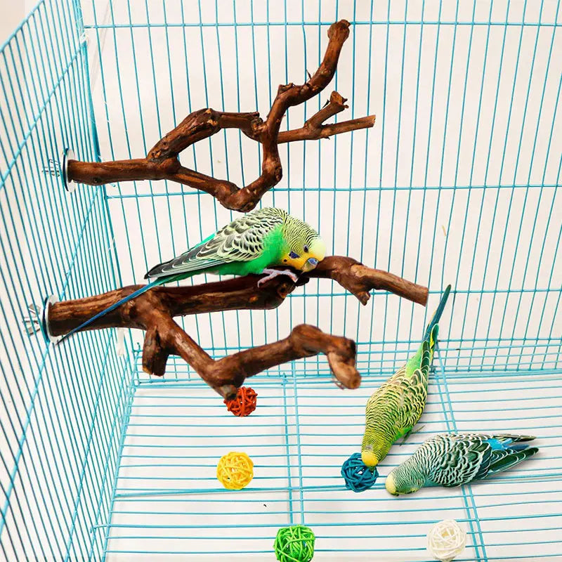 Standing Stick Wild Grape Wood for Parrot