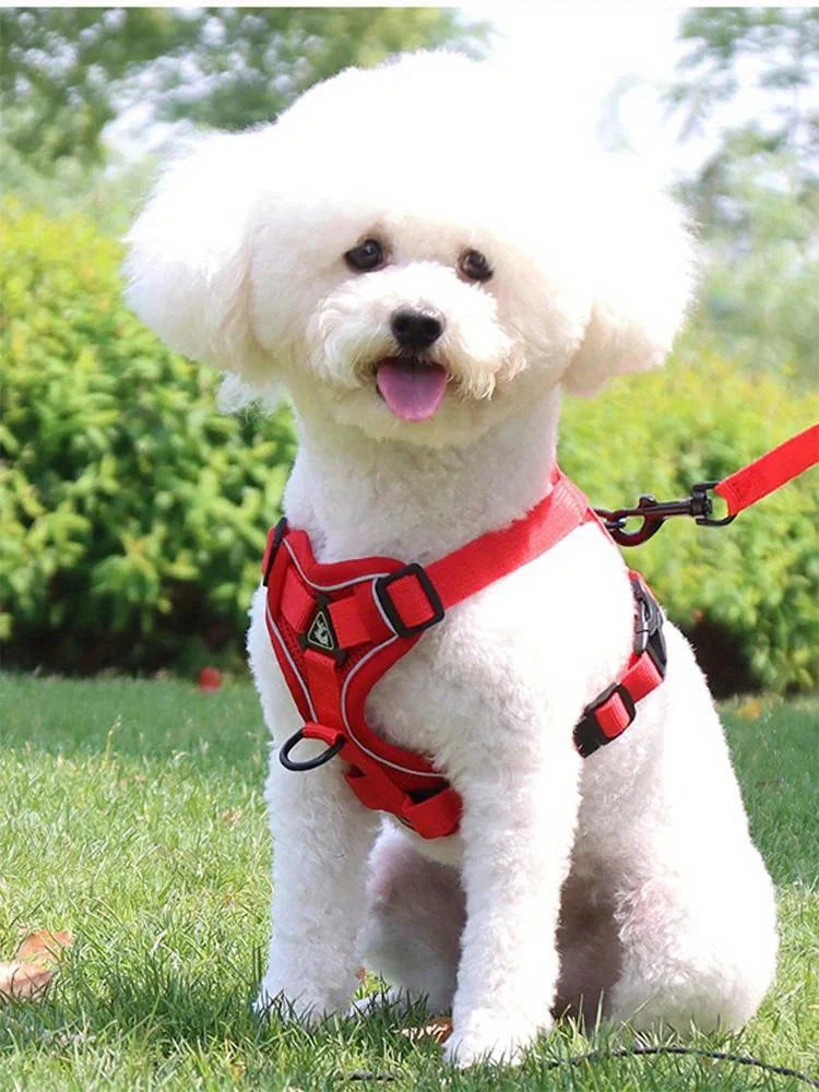 No Pull Dog Harness and Leash Set Adjustable