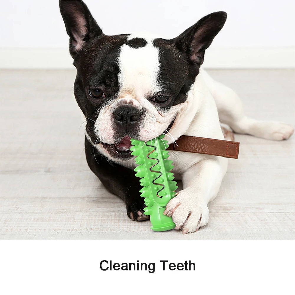 Large Dog Toothbrush