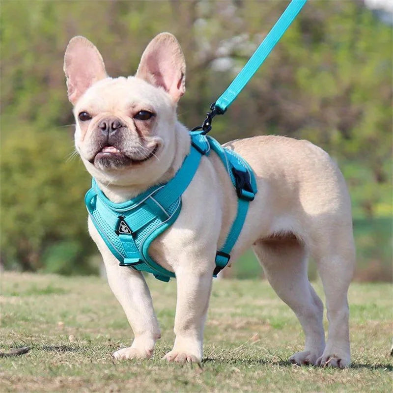 No Pull Dog Harness and Leash Set Adjustable