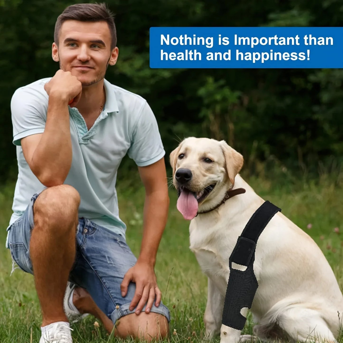 Adjustable Canine Rear Leg Brace