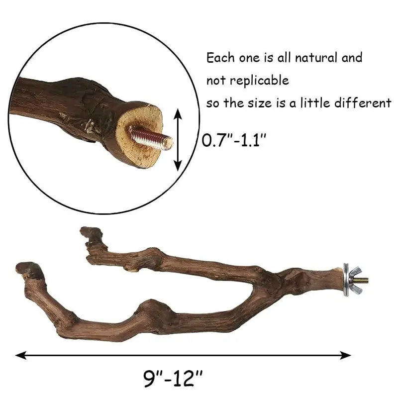 Standing Stick Wild Grape Wood for Parrot