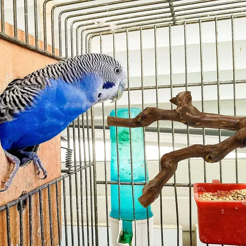 Standing Stick Wild Grape Wood for Parrot