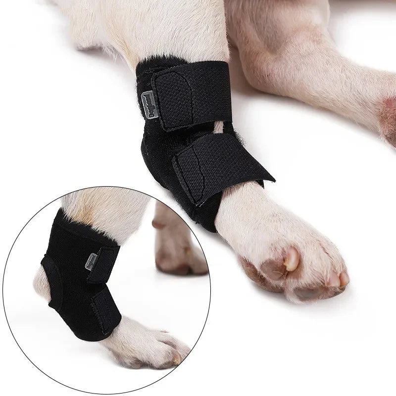 Protects Bandage Dog