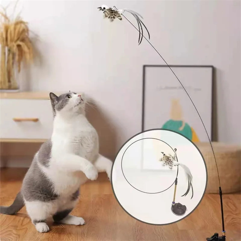 Simulation Bird Interactive