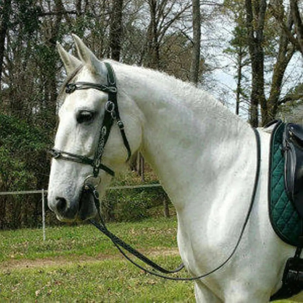 Leather Horses Bridle Halters Metal Buckle