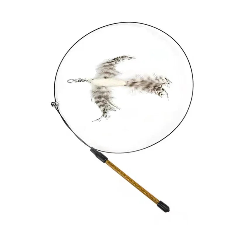 Simulation Bird Interactive