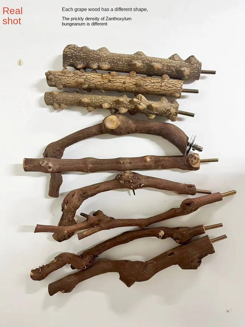 Standing Stick Wild Grape Wood for Parrot