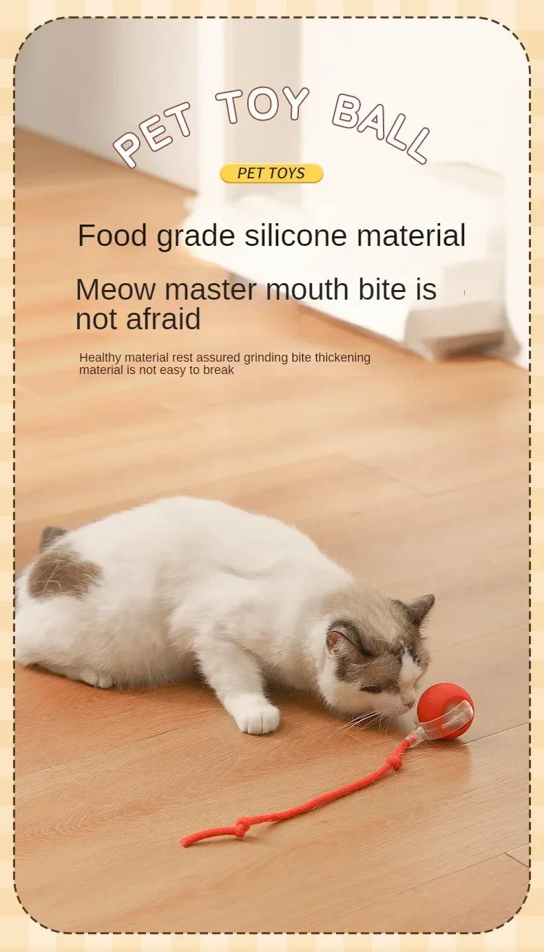 Cat/Dog Interactive Ball Toy Automatic