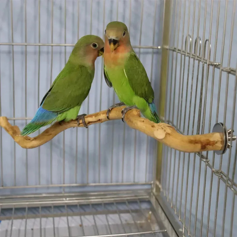 Standing Stick Wild Grape Wood for Parrot