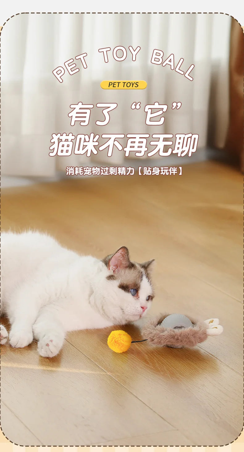 Cat/Dog Interactive Ball Toy Automatic