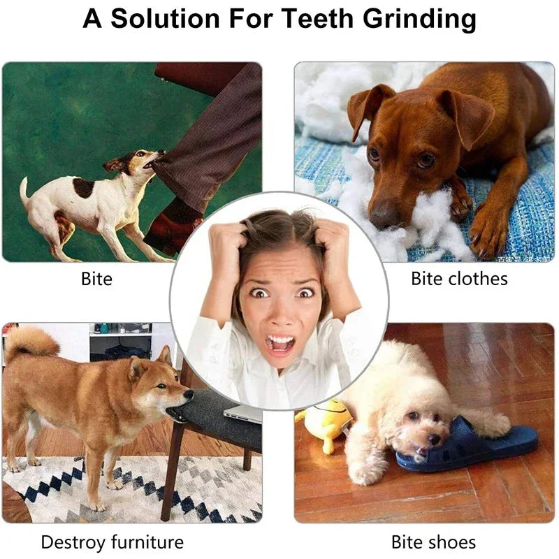 Dog Toy Ball Nontoxic